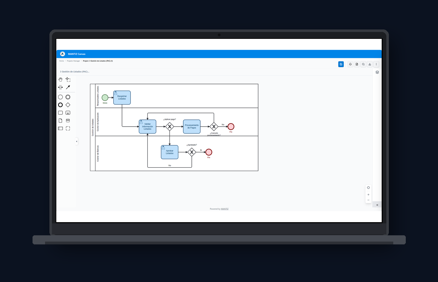 MANTIZ Web Canvas — constructor